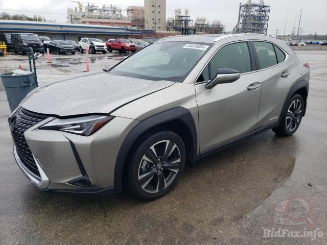 bidfax photo bidfax photo