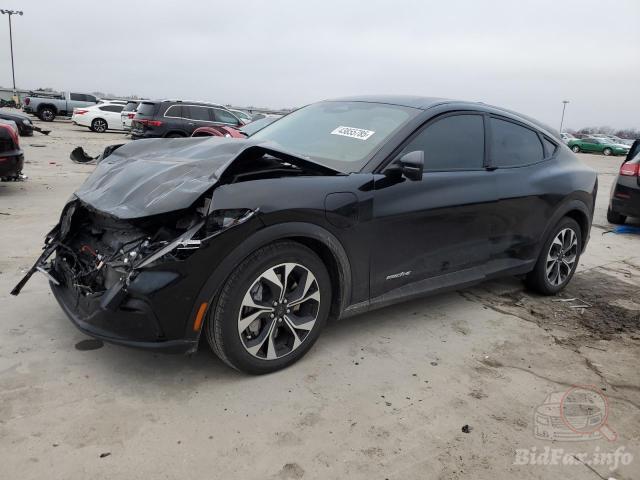 bidfax photo bidfax photo