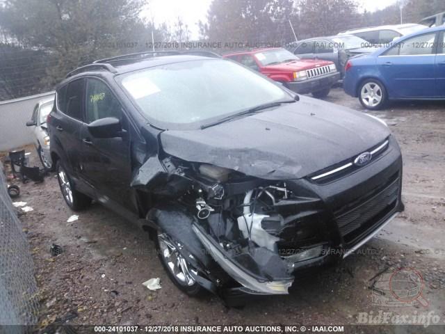 bidfax photo bidfax photo