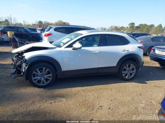 bidfax photo bidfax photo