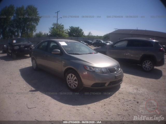 bidfax photo bidfax photo