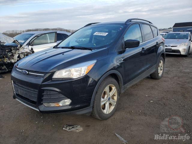 bidfax photo bidfax photo