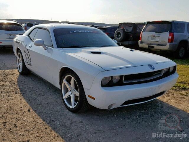 bidfax photo bidfax photo