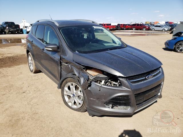 bidfax photo bidfax photo