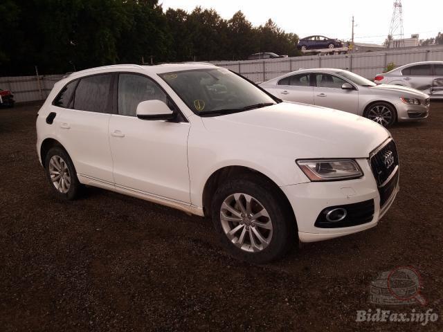 bidfax photo bidfax photo