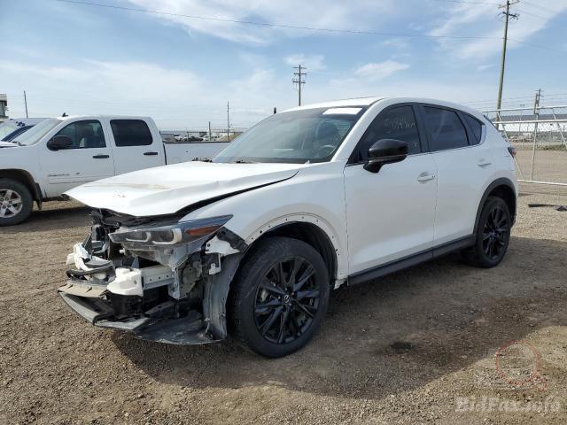 bidfax photo bidfax photo