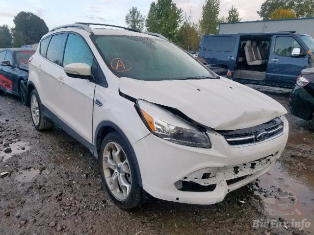 bidfax photo bidfax photo