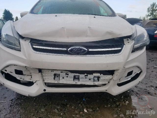 bidfax photo bidfax photo