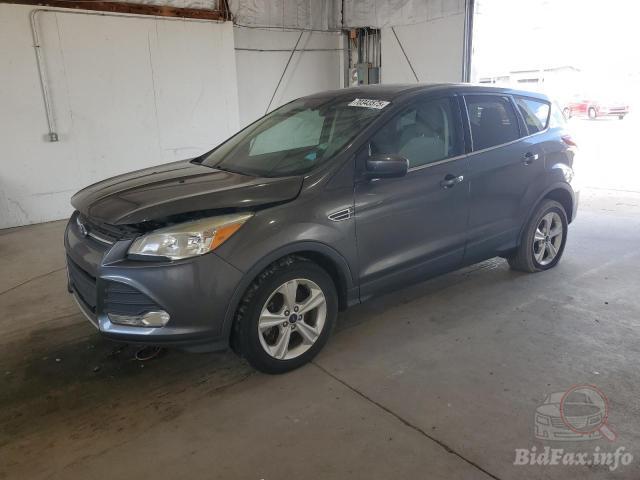 bidfax photo bidfax photo