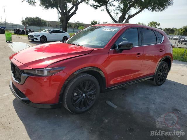 bidfax photo bidfax photo