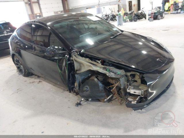 bidfax photo bidfax photo