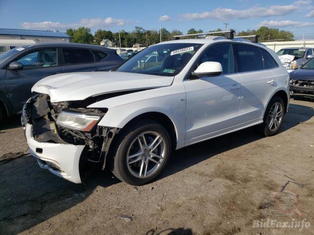 bidfax photo bidfax photo