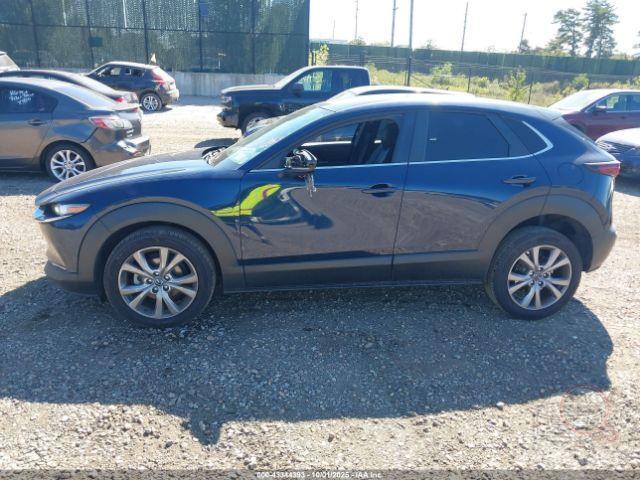 bidfax photo