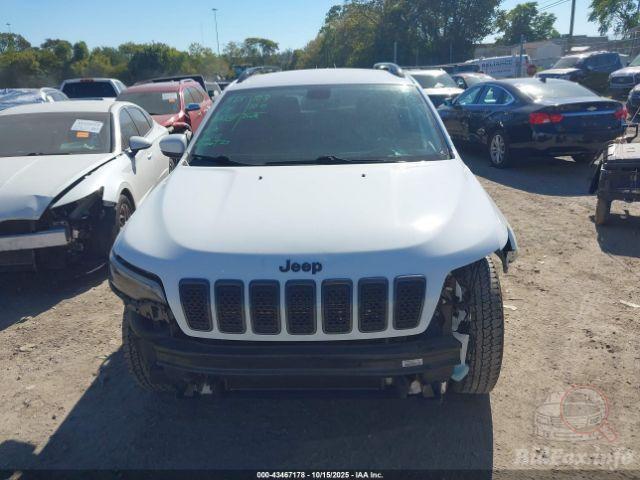 bidfax photo bidfax photo