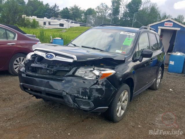 bidfax photo bidfax photo