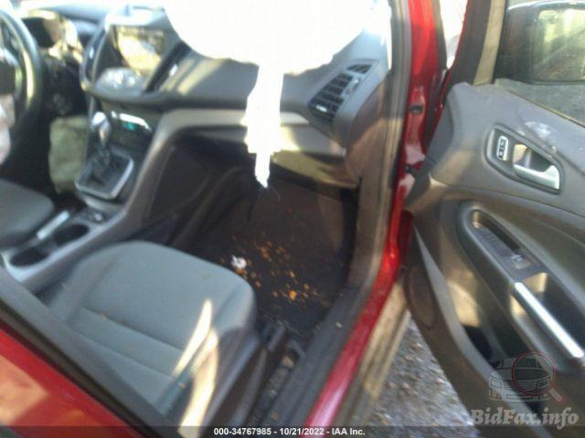 bidfax photo bidfax photo