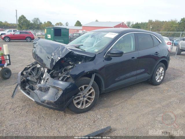 bidfax photo bidfax photo