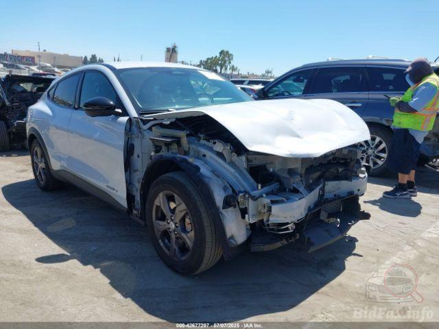 bidfax photo bidfax photo