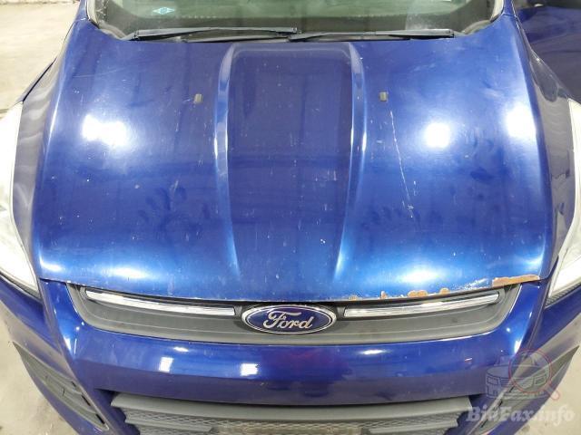 bidfax photo