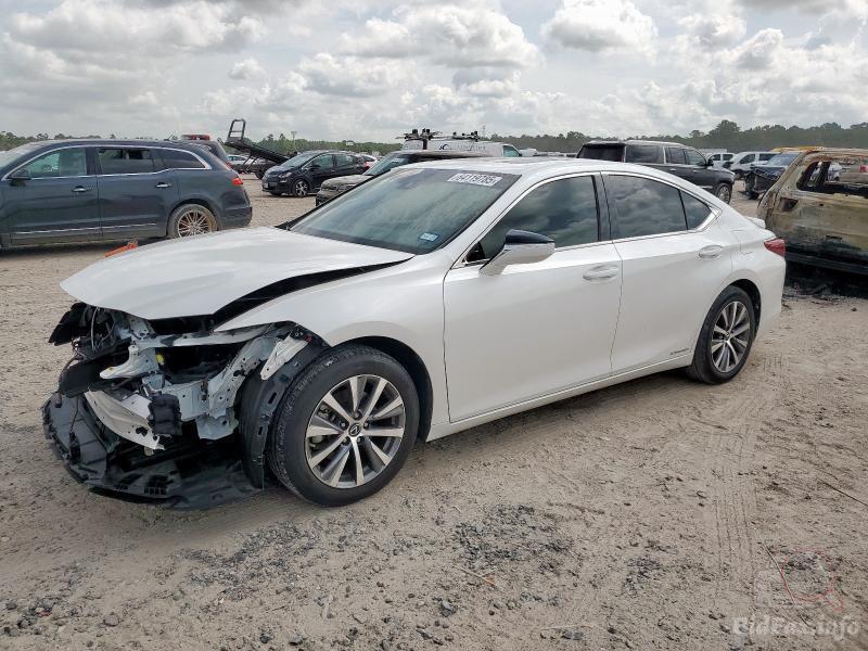 bidfax photo bidfax photo