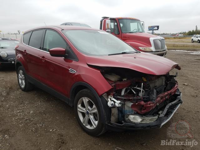 bidfax photo bidfax photo