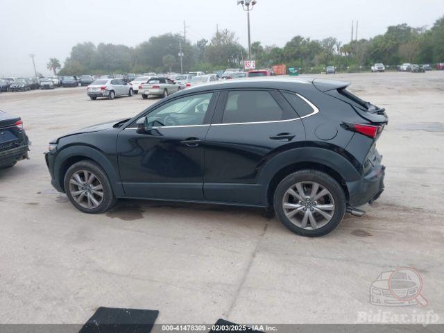 bidfax photo