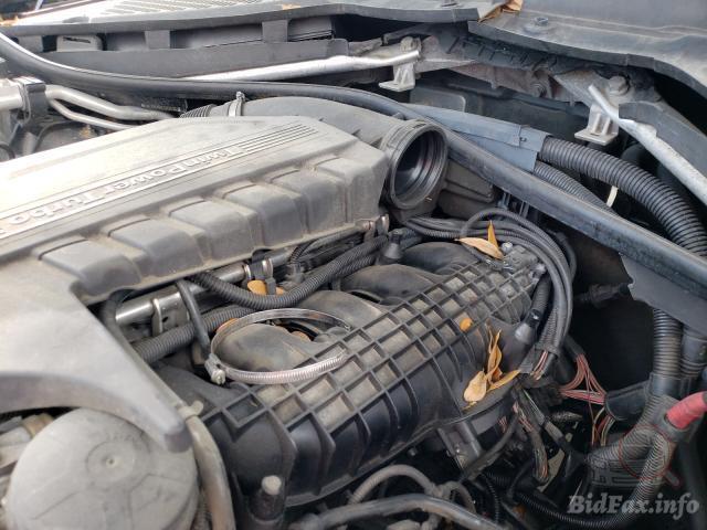 bidfax photo
