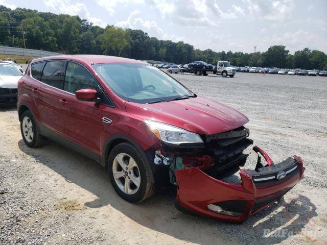 bidfax photo