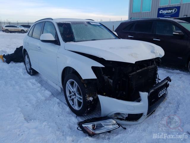 bidfax photo bidfax photo