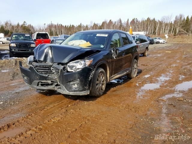 Фото на других сайтах