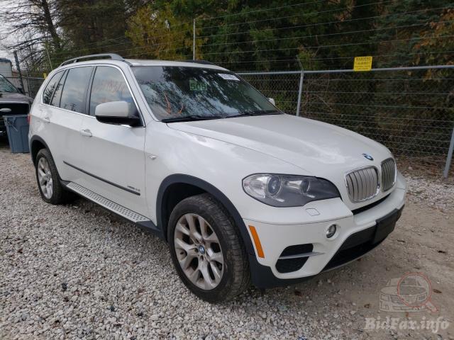 bidfax photo bidfax photo