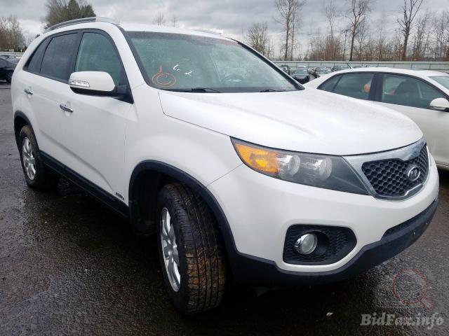 bidfax photo bidfax photo