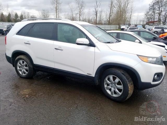 bidfax photo bidfax photo