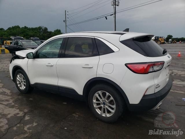 Фото на других сайтах
