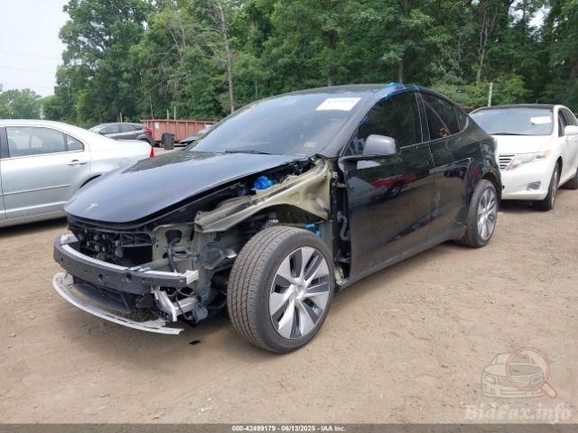 Фото на інших сайтах