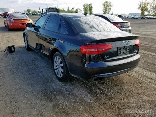 Фото на інших сайтах