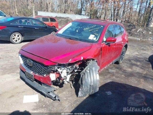 Фото на других сайтах