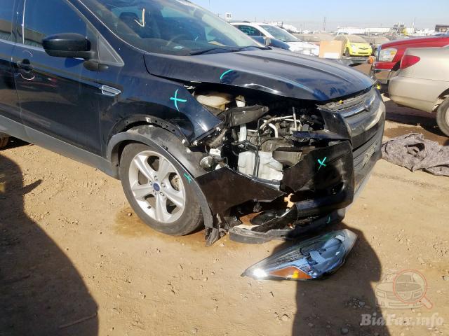 bidfax photo bidfax photo