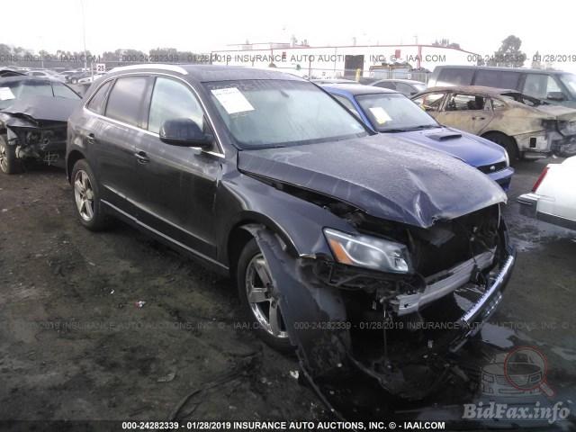 bidfax photo bidfax photo