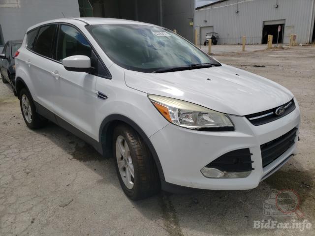 bidfax photo bidfax photo