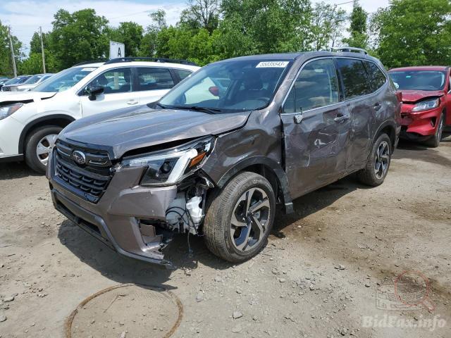 bidfax photo bidfax photo