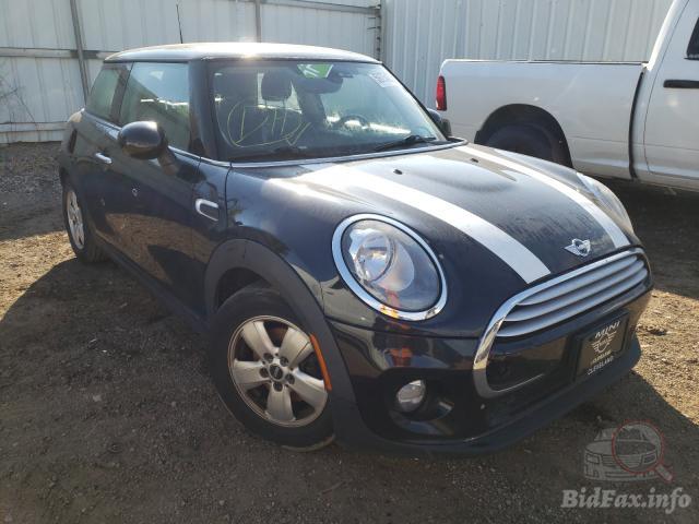 bidfax photo bidfax photo