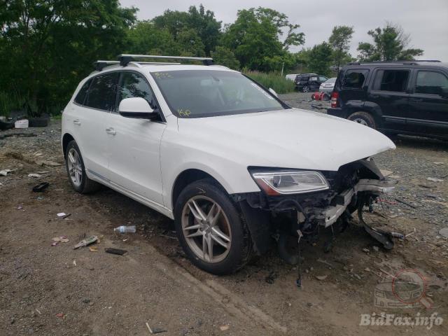 bidfax photo bidfax photo