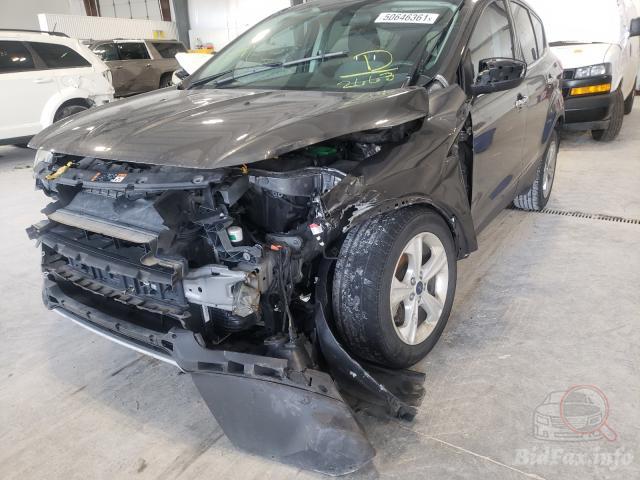 bidfax photo bidfax photo