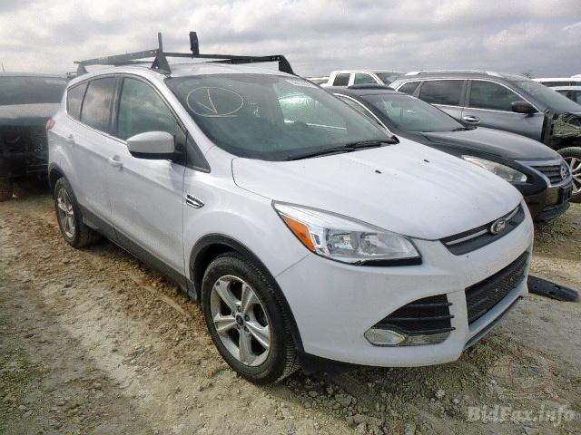 bidfax photo bidfax photo