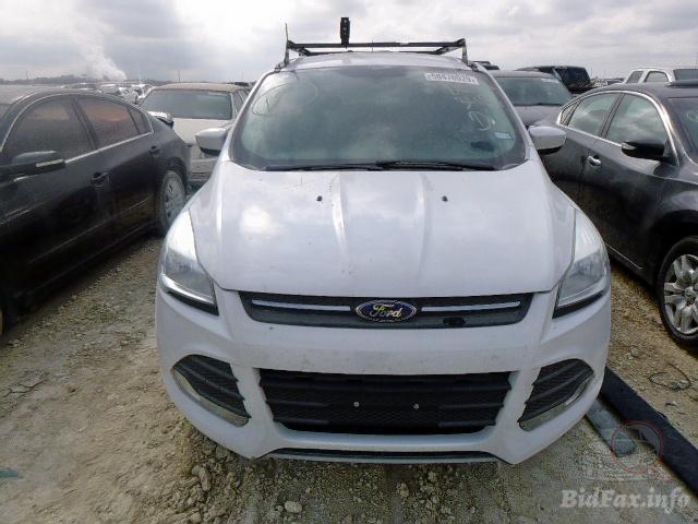 bidfax photo bidfax photo