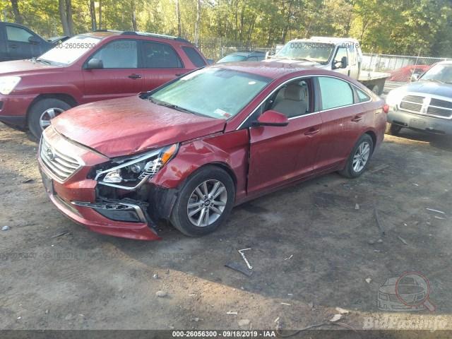 bidfax photo bidfax photo