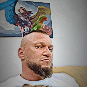 Про продавец Владимир