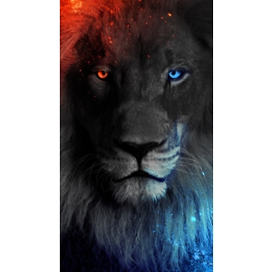 Про продавець Євген Володимирович