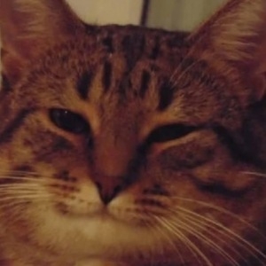 Про продавец Сергій Олександрович Іванов